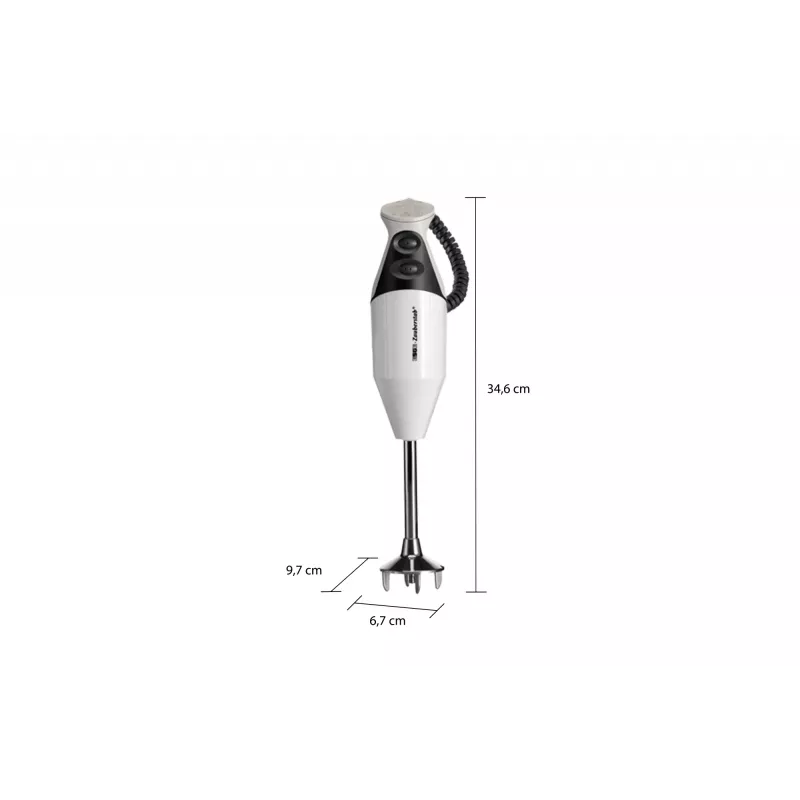 ESGE M 160 G Gourmet 0.6 L frullatore a immersione 160 W antracite, bianco