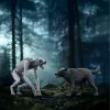 Set di gioco Schleich Wizarding World Harry Potter lupo mannaro vs. Animagus figure, figure da collezione