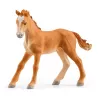 schleich HORSE CLUB Reitzentrum am See, fattoria, scuderia, cavalli, 5 anni, multicolore, plastica