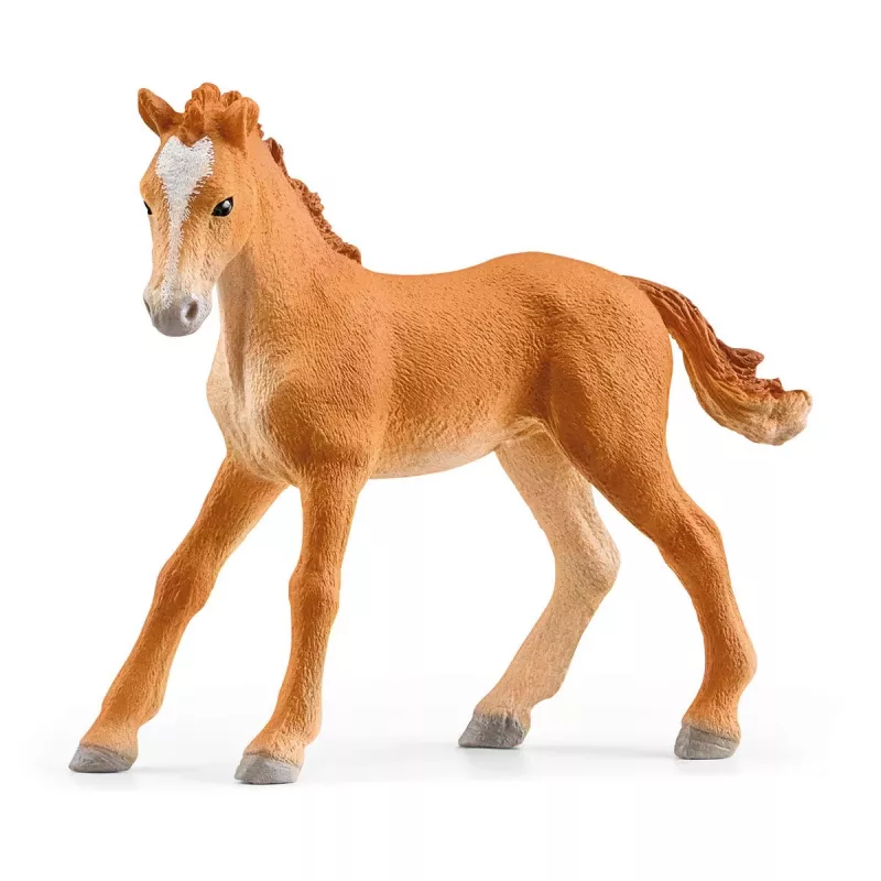 schleich HORSE CLUB Reitzentrum am See, fattoria, scuderia, cavalli, 5 anni, multicolore, plastica