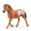 schleich Cowgirl Team Roping Fun, 3 anni, multicolore