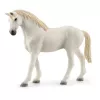 Espansione box cavalli Schleich HORSE CLUB 42569 multicolore