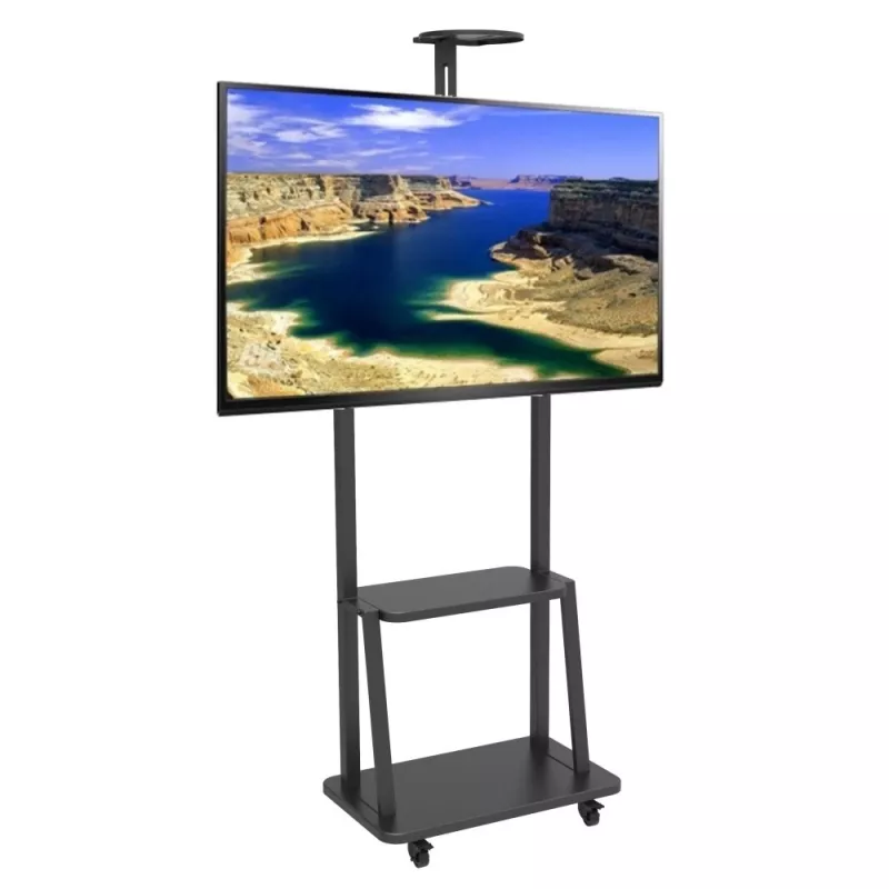 Supporto per display per insegne Techly ICA-TR33 177,8 cm (70