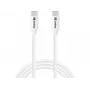 Sandberg USB-C USB-C 65W 1M SAVER, 1 m, USB C, USB C, USB 2.0, bianco