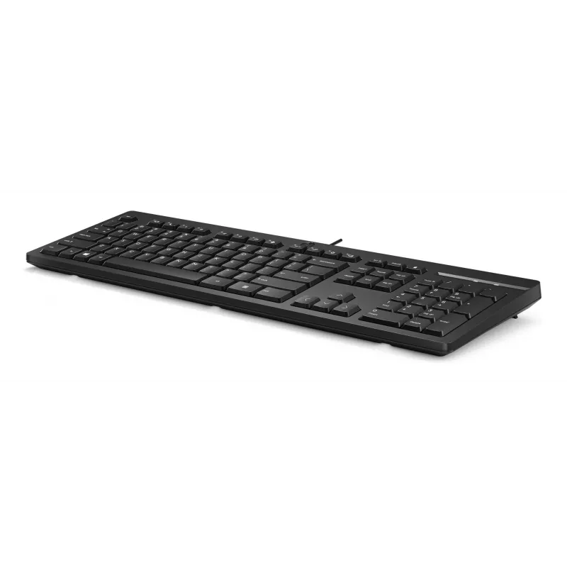 Tastiera HP 125 USB WD KBD Bulk 12 Full-size cablata QWERTY