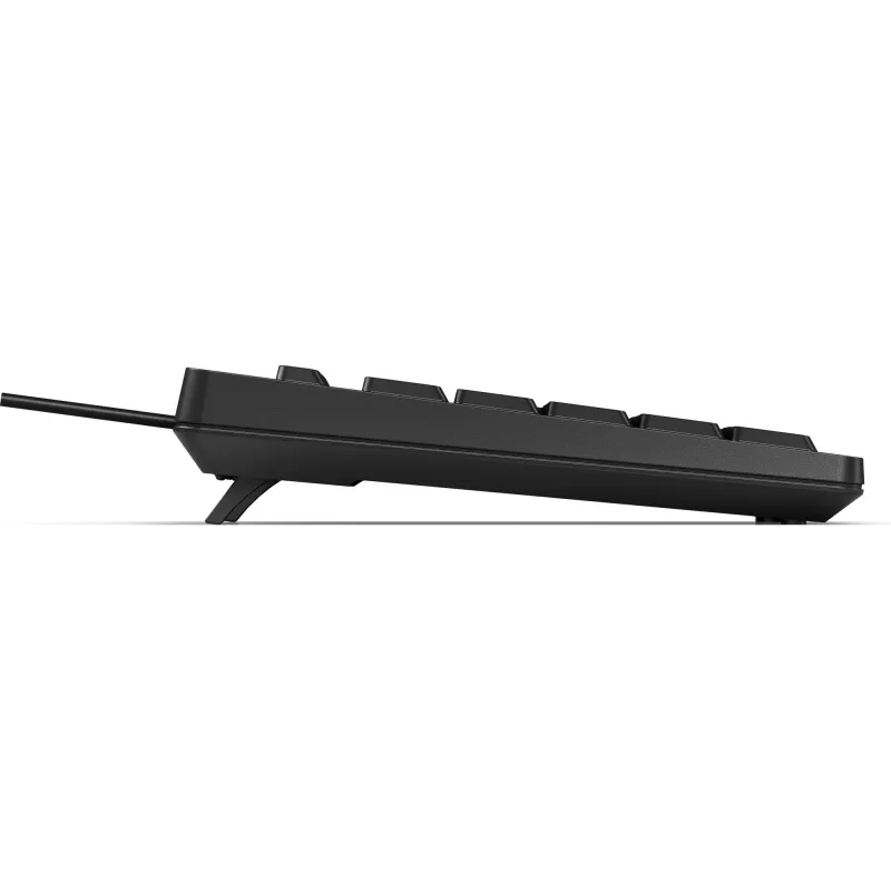 Tastiera HP 125 USB WD KBD Bulk 12 Full-size cablata QWERTY