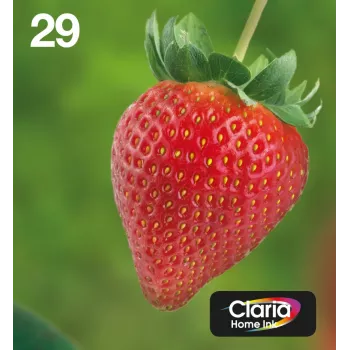Epson Strawberry multipack 4 colori 29 EasyMail, resa standard, nero, ciano, magenta, giallo, 5,3 ml, 3,2 ml, 1 pz., confezione multipla