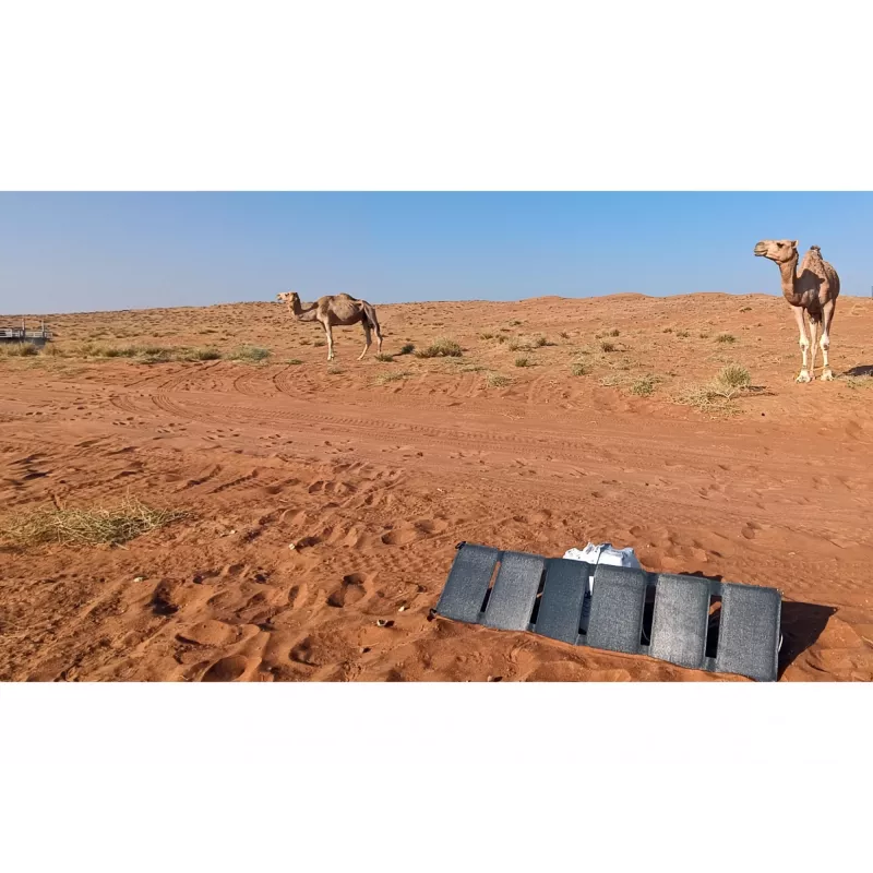 Sandberg Solar Charger 40W QC3.0+PD+DC, Outdoor, solare, nero