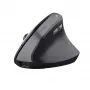 Trust TM-270 Mouse Office per destrorsi RF wireless ottico 2400 DPI