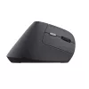 Trust TM-270 Mouse Office per destrorsi RF wireless ottico 2400 DPI