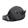 Trust TM-270 Mouse Office per destrorsi RF wireless ottico 2400 DPI