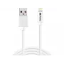 Sandberg USBLightning MFI 1m SAVER, 1 m, Lightning, USB A, connettore maschio, connettore maschio, bianco