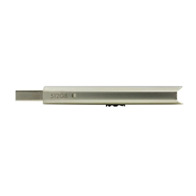 Chiavetta USB HP x796w 256 GB USB Type-A 3.2 Gen 1 (3.1 Gen 1) argento