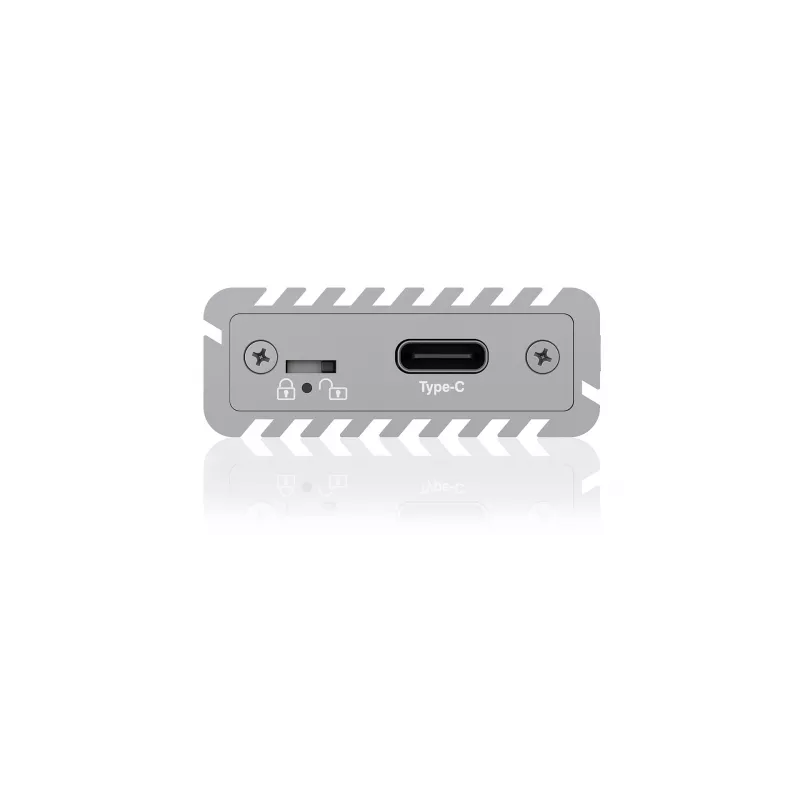 Case per SSD ICY BOX IB-1817Ma-C31 argento M.2