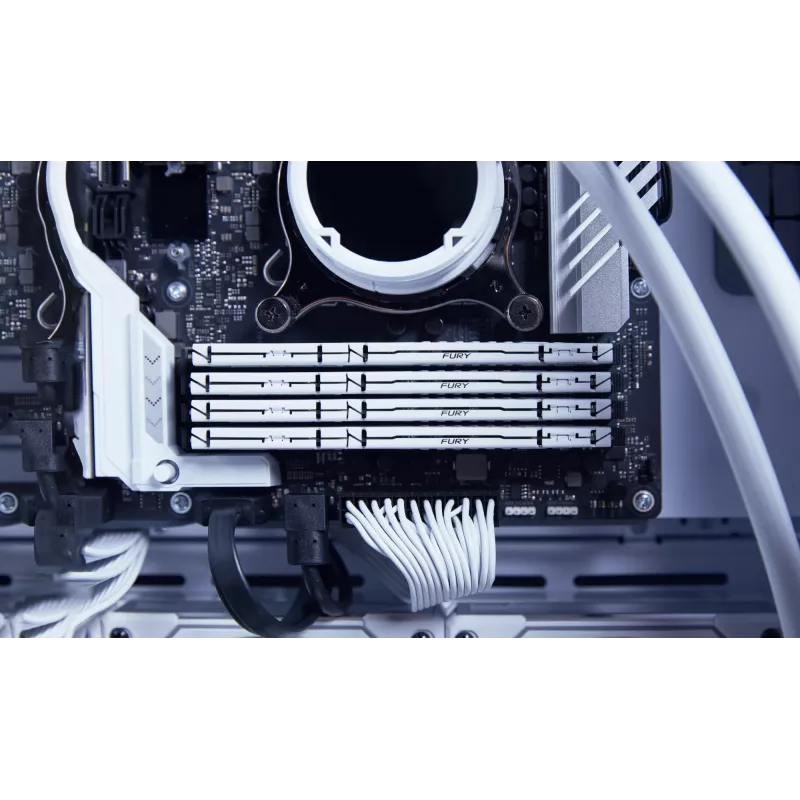 Kingston Technology FURY Beast 32GB 5600MT/s DDR5 CL36 DIMM bianco EXPO