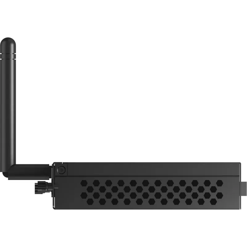 iiyama OPC51204BC-1 PC/Workstation Intel® Core™ i5 i5-12450H 8 GB DDR4-SDRAM 256 GB SSD Windows 11 IoT Enterprise Mini-PC nero