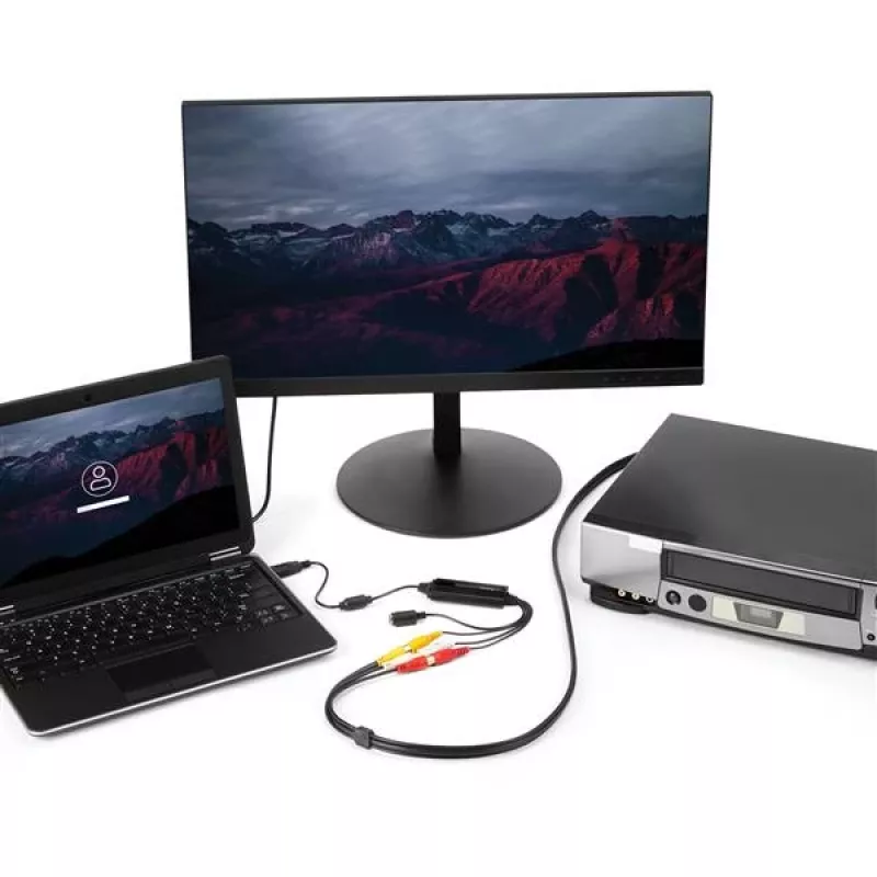 StarTech.com cavo adattatore acquisizione video USB – cavo dispositivo acquisizione video S-Video/Composite a USB 2.0 SD – supporto TWAIN – convertitore analogico-digitale per archiviazione multimediale – solo Windows