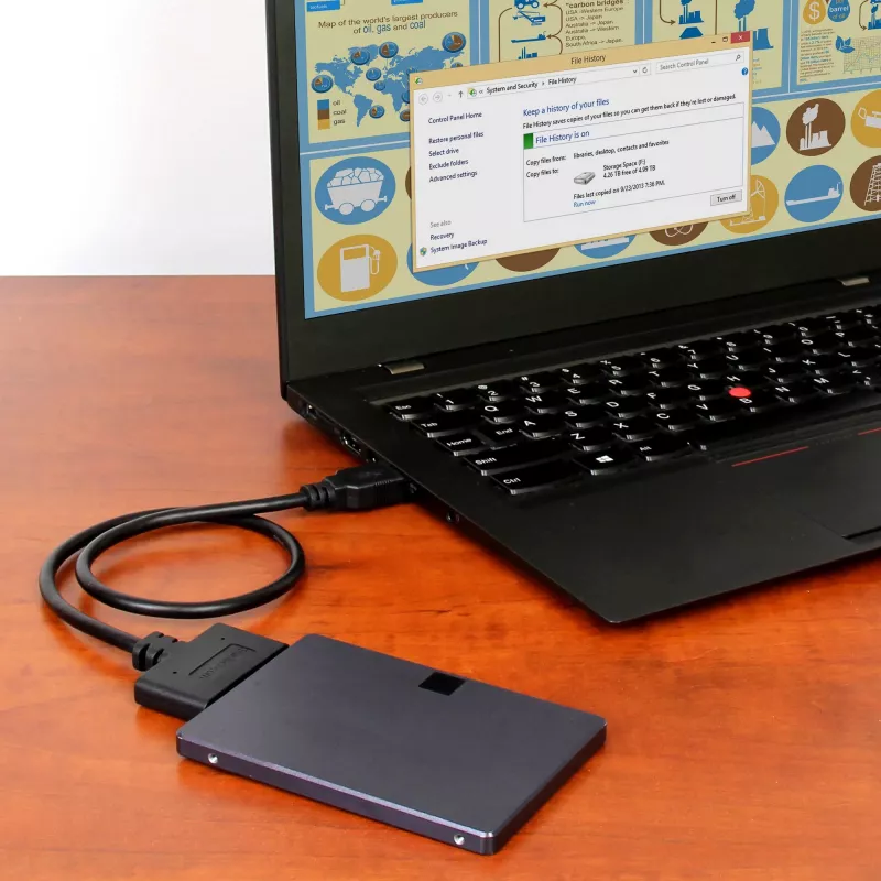 StarTech.com Adattatore per disco SATA da 2,5