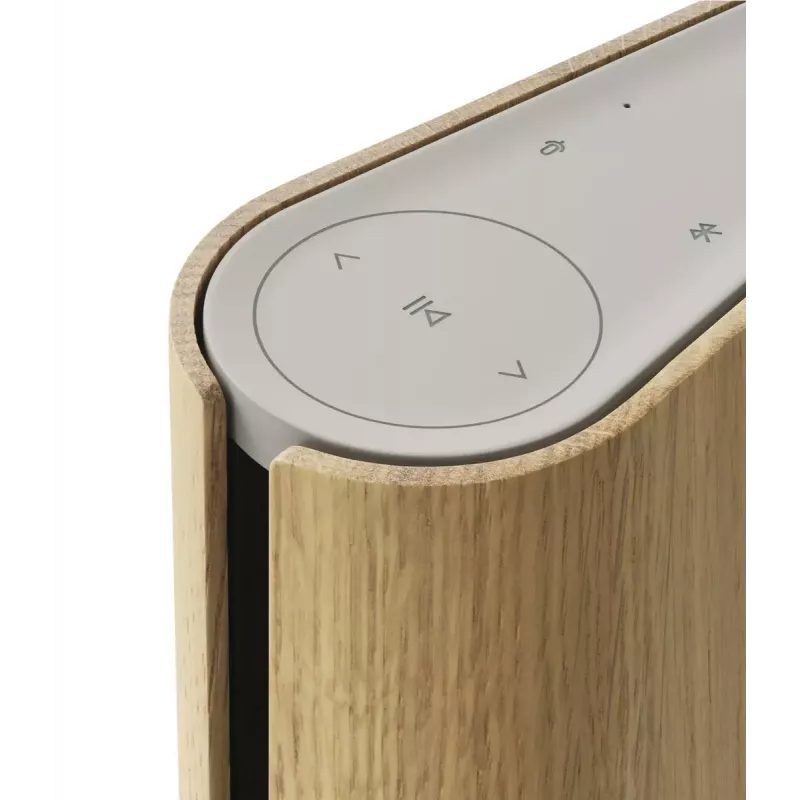 Lautoparlante portatile Bang & Olufsen Beosound Emerge marrone