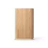 Lautoparlante portatile Bang & Olufsen Beosound Emerge marrone