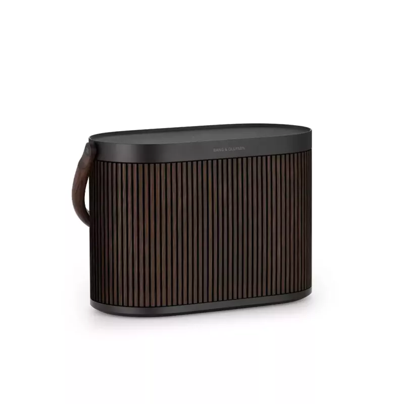 Sistema di lautoparlanti portatile 2.1 Bang & Olufsen BeoSound A5 marrone 101 dB
