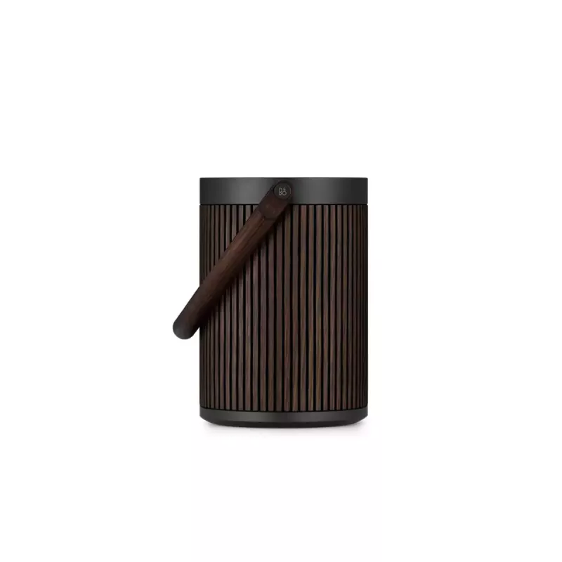 Sistema di lautoparlanti portatile 2.1 Bang & Olufsen BeoSound A5 marrone 101 dB