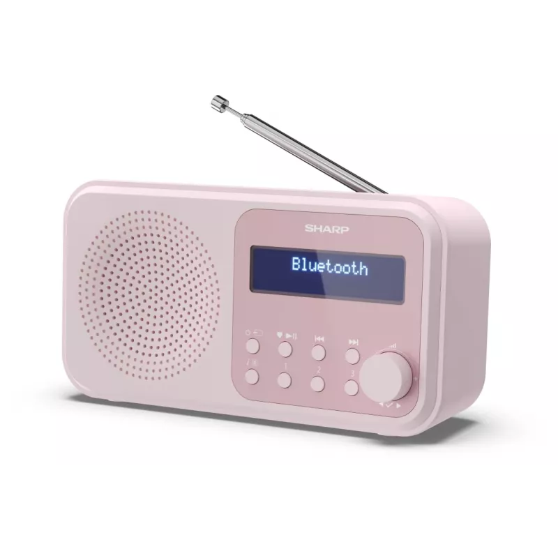 Radio portatile Sharp DR-P420 tuner digitale DAB DAB+ FM rosa