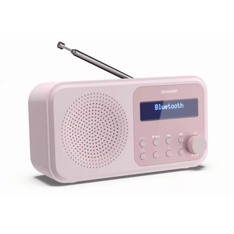 Radio portatile Sharp DR-P420 tuner digitale DAB DAB+ FM rosa