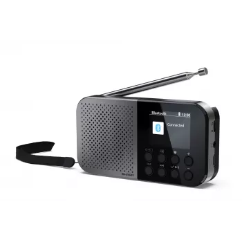Radio personale Sharp DR-P520 tuner digitale DAB DAB+ FM