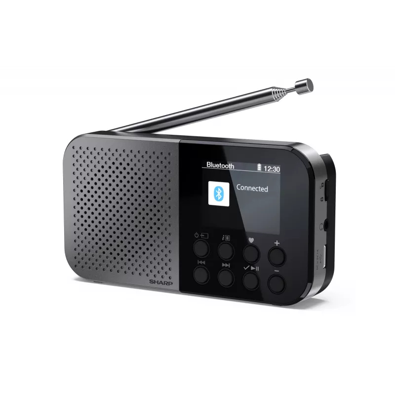 Radio personale Sharp DR-P520 tuner digitale DAB DAB+ FM