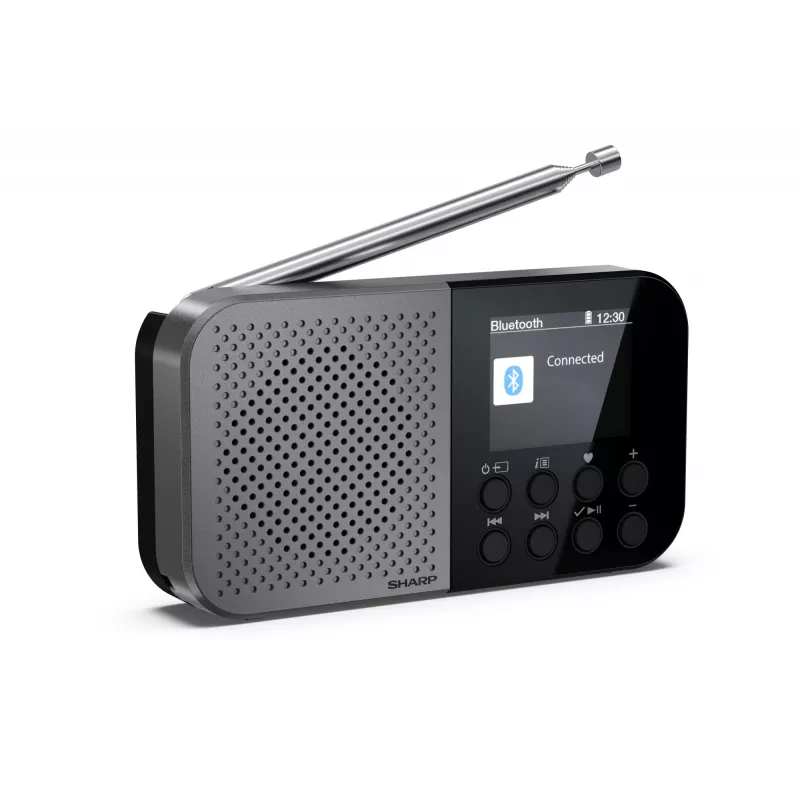 Radio personale Sharp DR-P520 tuner digitale DAB DAB+ FM
