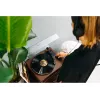 Giradischi audio a trasmissione a cinghia Lenco LS-430BN marrone manuale forza di appoggio 3-4 g