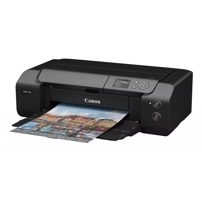 Stampante a getto d'inchiostro Canon imagePROGRAF PRO-310 colore 4800 x 2400 DPI A3+ WLAN