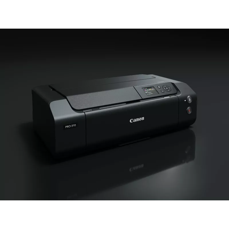 Stampante a getto d'inchiostro Canon imagePROGRAF PRO-310 colore 4800 x 2400 DPI A3+ WLAN
