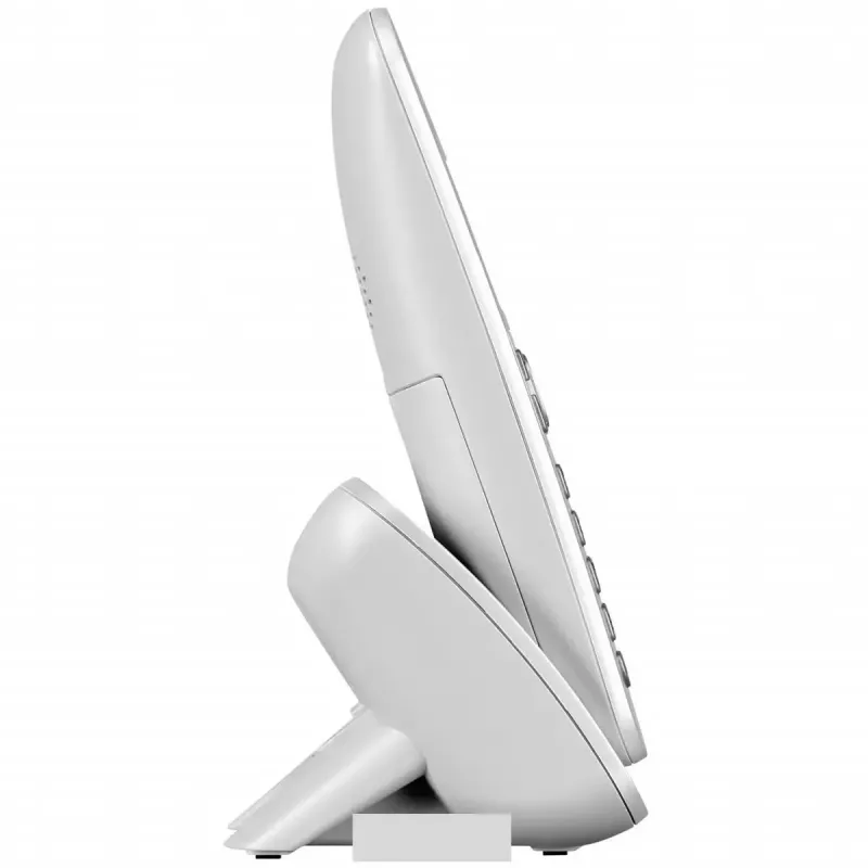 Telefono DECT Panasonic KX-TG6811GS