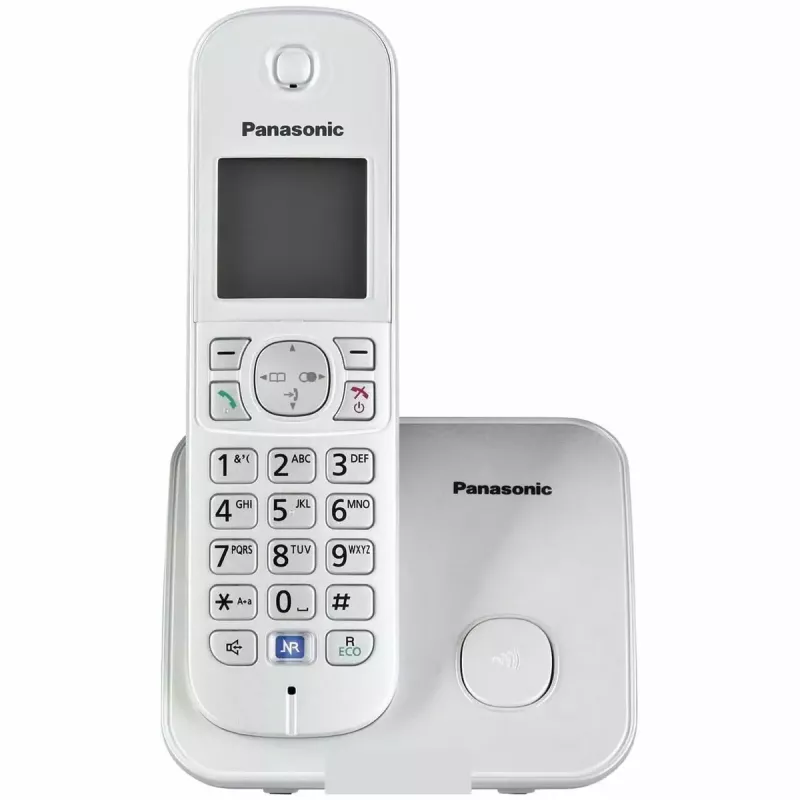 Telefono DECT Panasonic KX-TG6811GS