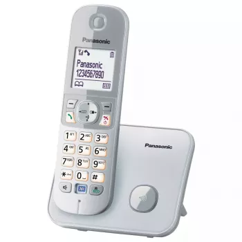 Telefono DECT Panasonic KX-TG6811GS