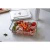 Box ZWILLING FRESH & SAVE rettangolare 2 L grigio