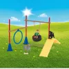 schleich Farm Life Cuccioli Agility Training, Farm World, 3 anni, multicolore