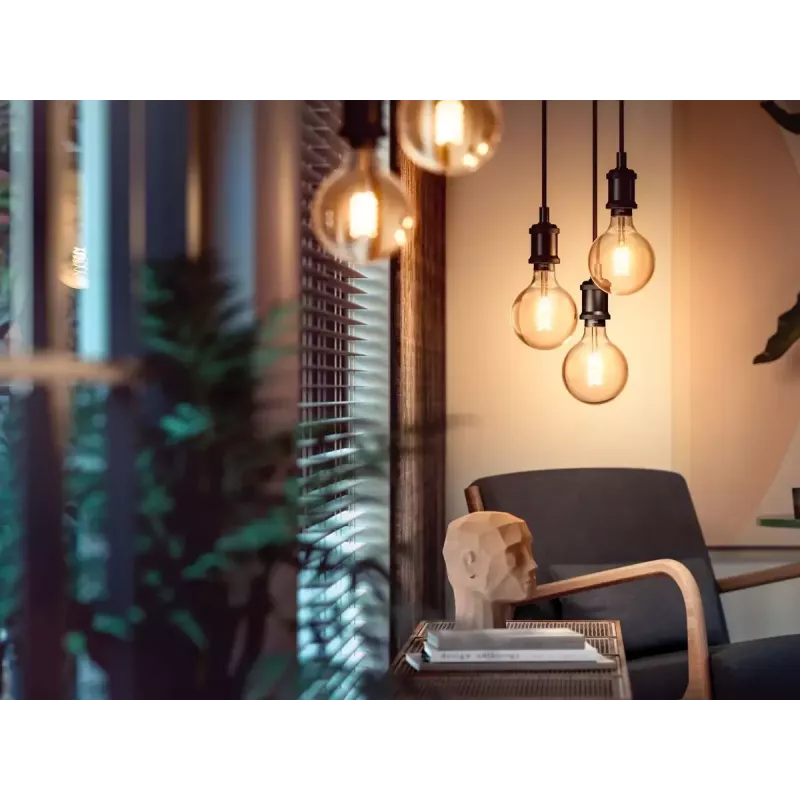 Lampada intelligente Philips confezione da 1 G93 E27 Filament