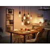 Lampada intelligente Philips confezione da 1 G93 E27 Filament