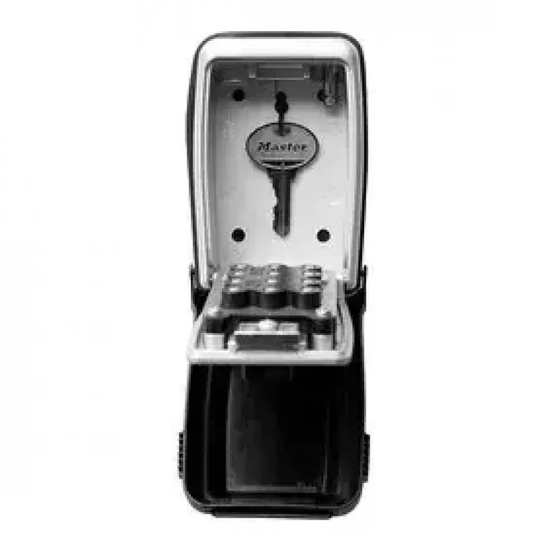 Cassaforte a muro MASTER LOCK 5423EURD