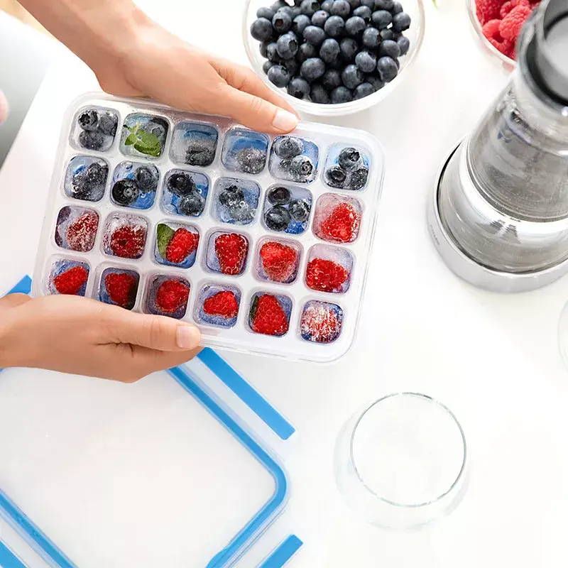 EMSA 514549 contenitore per alimenti stampo per cubetti di ghiaccio blu, trasparente 1 pz.