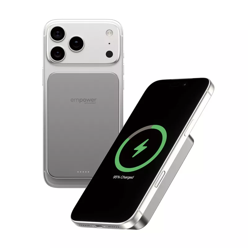 Powerbank PanzerGlass empower by empower Bank 10000mAh titanio