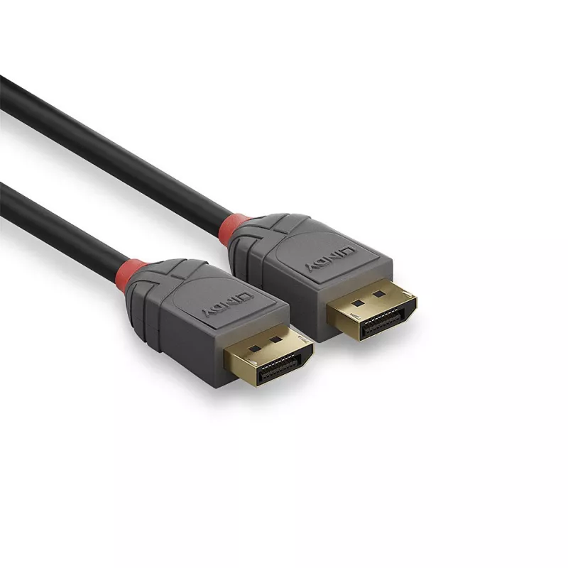 Lindy cavo DisplayPort 1.4 0,5 m, Anthra Line