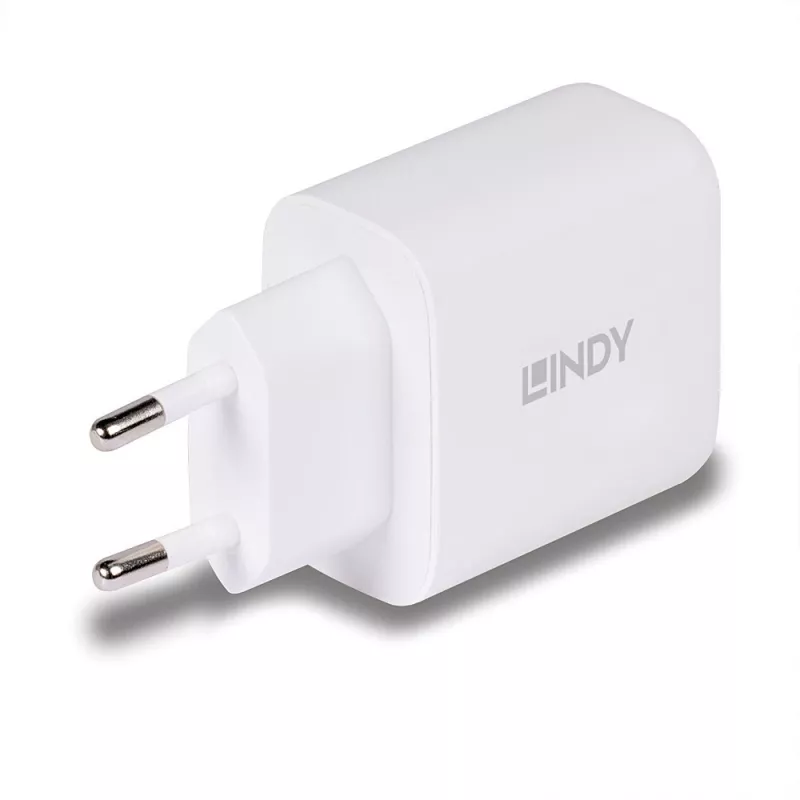 Lindy 73428 caricabatterie universale bianco AC ricarica rapida per interni