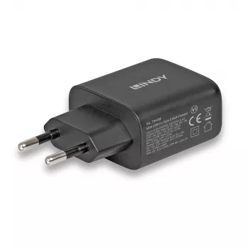 Lindy 65W USB 2 x Type-C caricabatterie GaN 73438