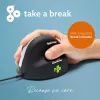 R-Go Tools mouse ergonomico R-Go HE Break con software Break, medio (dimensione mano 165-185 mm), destrorso, cablato, nero