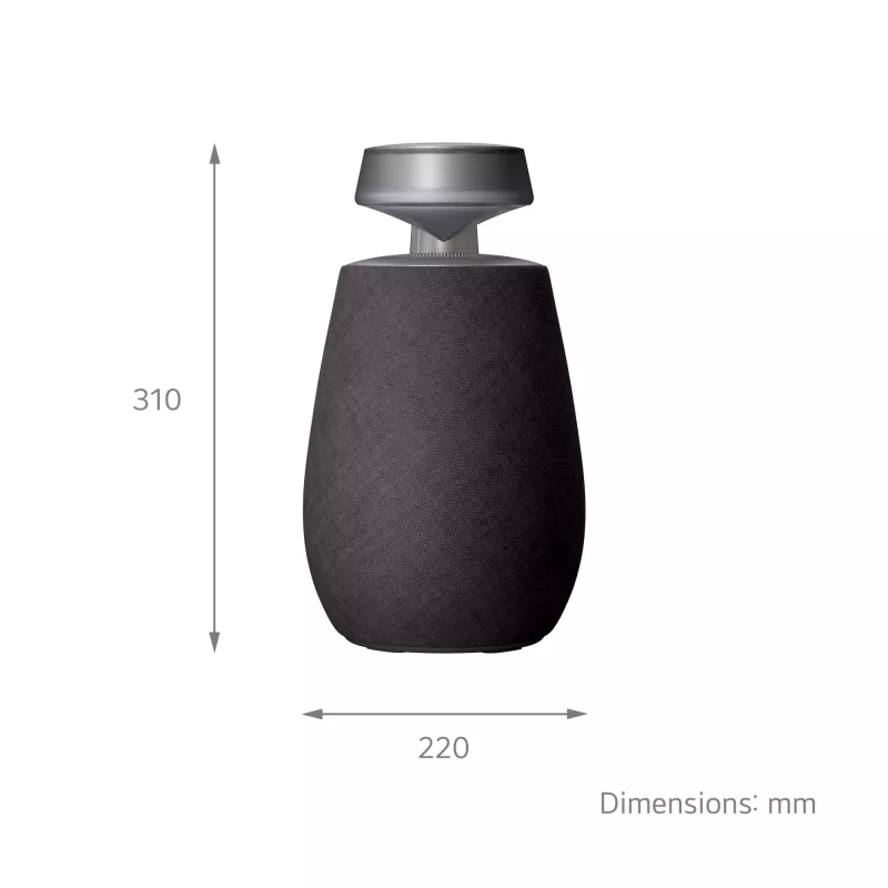 Diffusore portatile LG XBOOM 360 mono nero 20 W