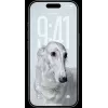 Smartphone Apple iPhone 17 Pro 6,3 pollici 256GB arancione
